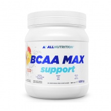  All Nutrition BCAA Max Support 500 