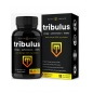  Nutra Champs Tribulus 90 