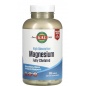  Innovative Quality KAL Magnesium Fully Chelated 270 