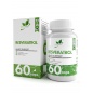  NaturalSupp Resveratrol  60 