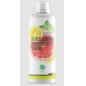  Nature Foods Glucosamine Chondroinin MSM 500 